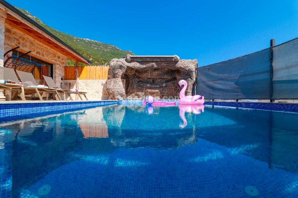 Villa Jungle – fotoğraf 2